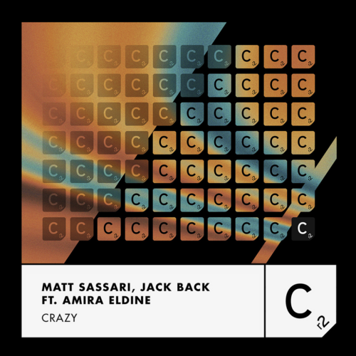 Matt Sassari & Jack Back feat. Amira Eldine - Crazy